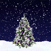 Новогодняя елка в снегопад. Астрахань, 31 декабря 2005 г. Южная сторона неба